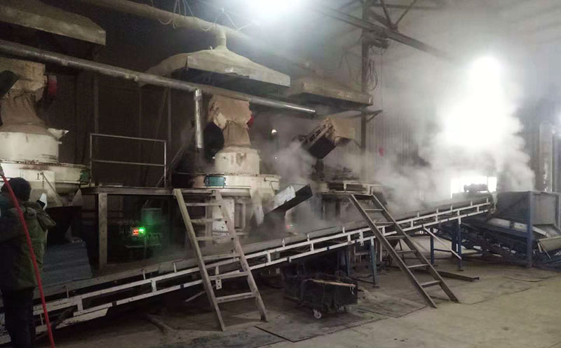 陕西4-6吨稻壳颗粒生产线